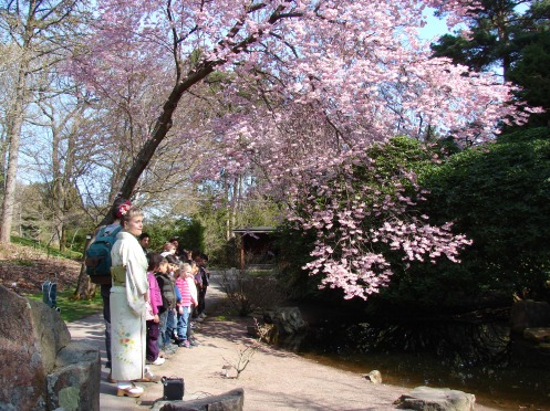 Sakura2009